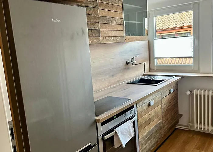 Apartment Am Bürgerpark *